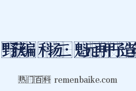 野获编·科场二·魁元再甲子造句是什么意思的图片